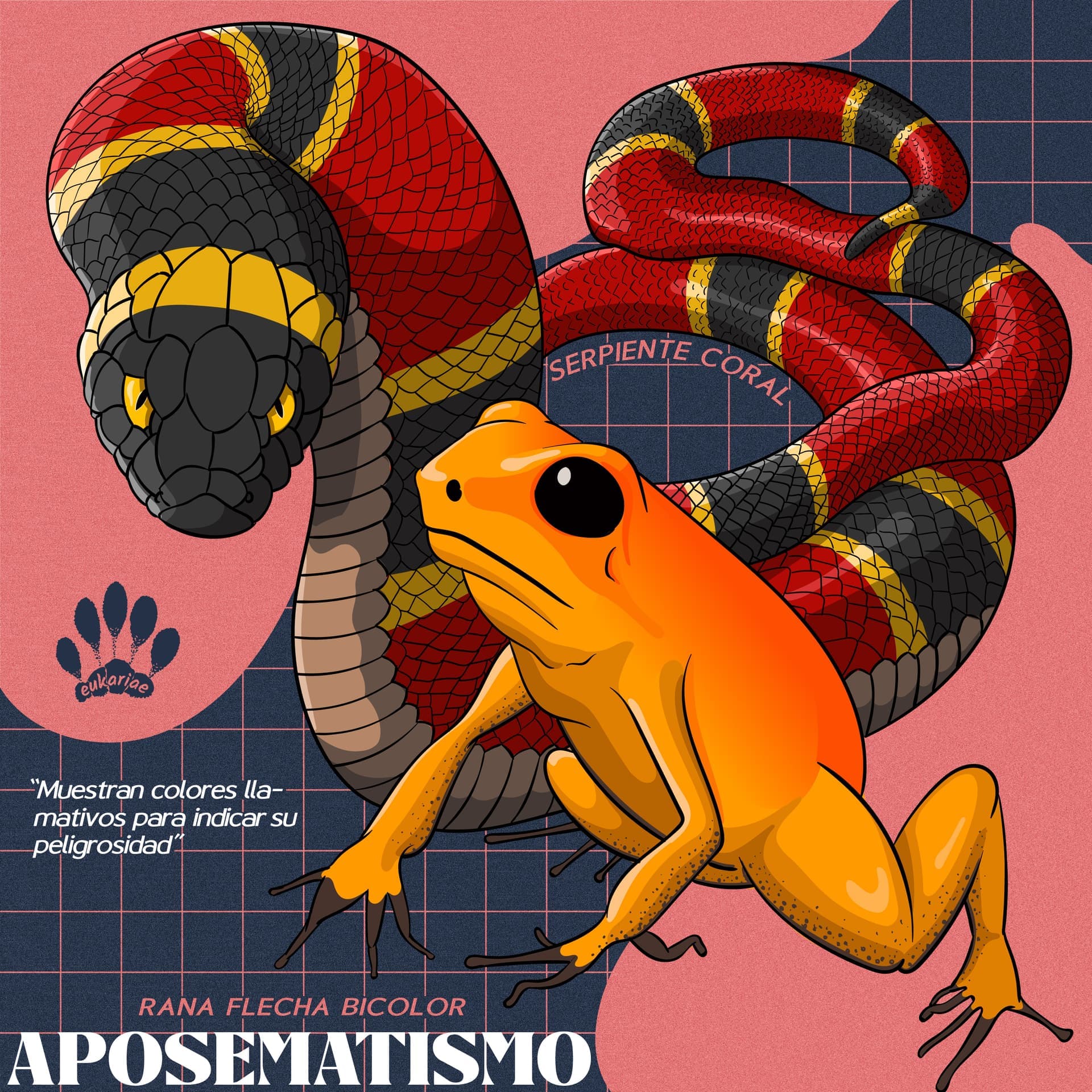 Artesanía y Naturaleza