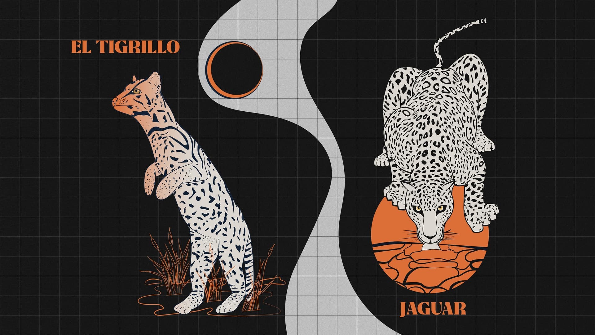 El Espíritu del Jaguar