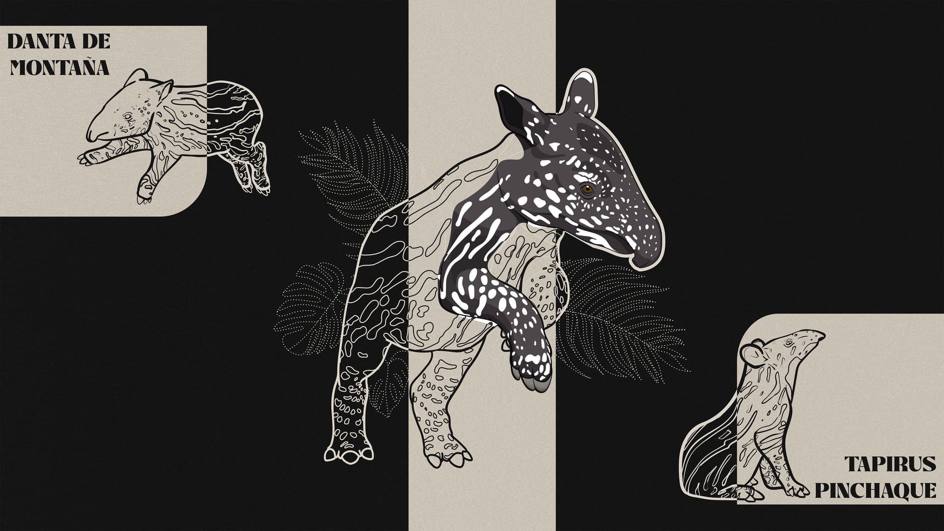 Descubre la Belleza Natural